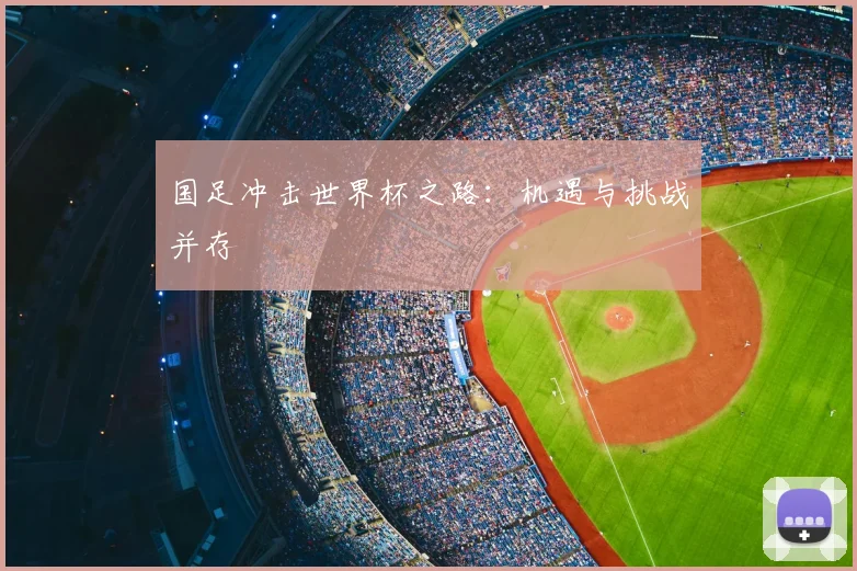 国足冲击世界杯之路：机遇与挑战并存