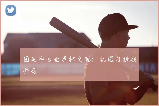 国足冲击世界杯之路：机遇与挑战并存