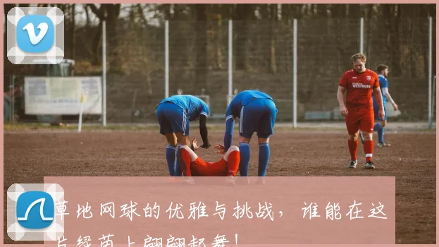 草地网球的优雅与挑战,谁能在这片绿茵上翩翩起舞!