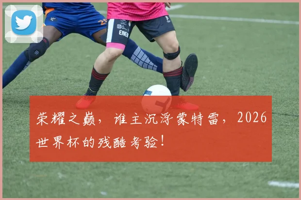 荣耀之巅,谁主沉浮蒙特雷,2026世界杯的残酷考验!