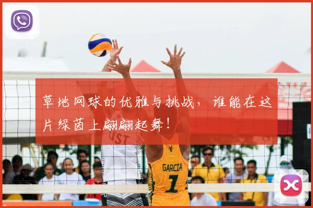 草地网球的优雅与挑战,谁能在这片绿茵上翩翩起舞!